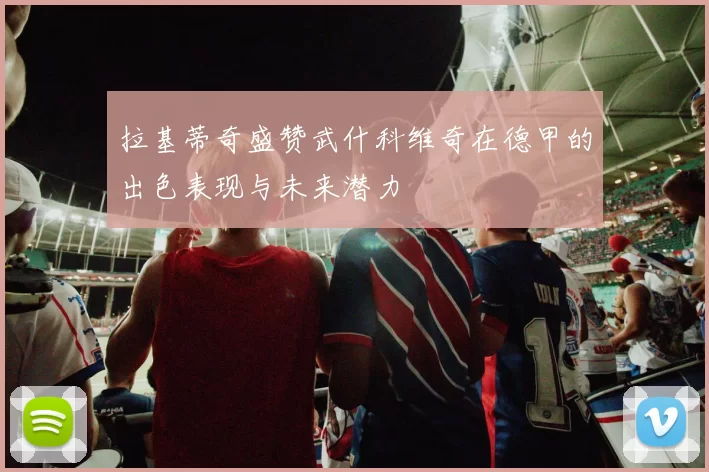 拉基蒂奇盛赞武什科维奇在德甲的出色表现与未来潜力