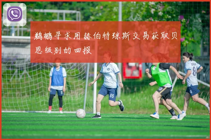 鹈鹕寻求用赫伯特琼斯交易获取贝恩级别的回报