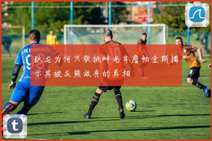 狄龙为何只敢挑衅老年詹帕金斯揭示其被灰熊放弃的真相