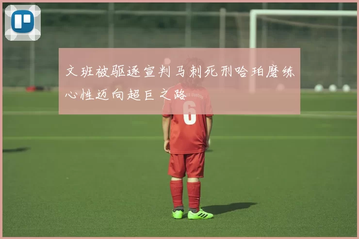 文班被驱逐宣判马刺死刑哈珀磨练心性迈向超巨之路